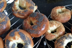 bagles