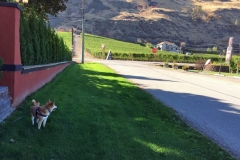 osoyoos