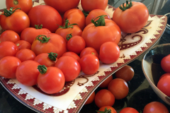 2021_9_27tomato