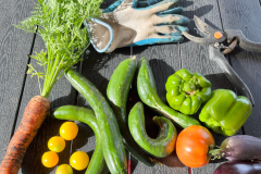 vegetables