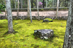 2023yearendmossgarden