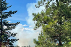 2025fire2