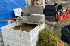 2025harvest
