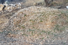 20191031_162211