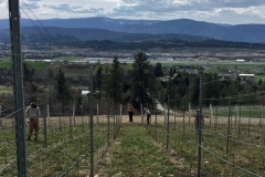 okanaganlife4