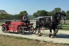 2019_8_29fortsteele1