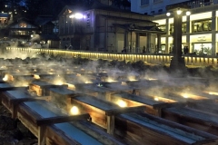 2019_5_11yubatake2